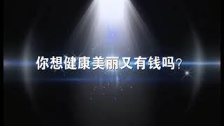 美極客非凡團隊日入萬元