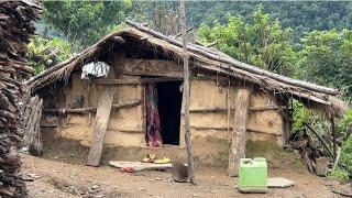 shepherd life in nepali mountain village | nomadic shepherd life of himalayan nepal |TheVillageNepal