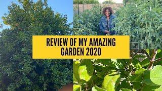 REVIEW OF MY AMAZING GARDEN 2020 | The Word of God Garden & More