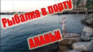 Рыбалка в Турции порт Аланьи Alanya liman harbor fishing Turkey