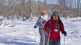 Untouched HOKKAIDO : Japan Hokkaido Kushiro-Shitsugen National Park Winter Wildlife Tour【4K】