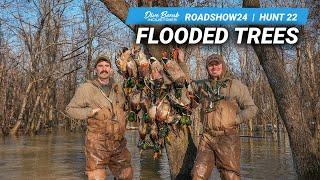 ARKANSAS FLOODED TIMBER DUCK HUNT: Limits & Banded Mallard! | #ROADSHOW24 HUNT 22