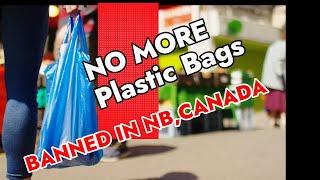 Plastic Checkout Bag Ban Begins in NB, Canada