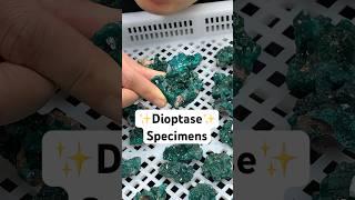 Dioptase gemstone specimens starts from $2.5 #dioptase #crystalspecimens #minerals #crystalwholes