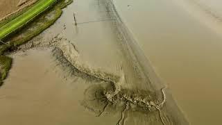 Drone footage of the river colne | Wivenhoe | Essex