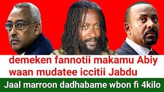 ODUU Ammee Jaal marroo  demeke mekonnen  Abiy Ahmed wbo fannoo | Moha Oromo