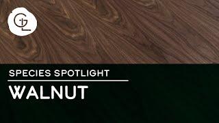 Black Walnut Wood Veneer Sheets