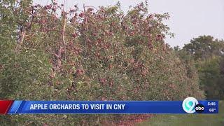 Picking Season: Apple orchards in Central New York