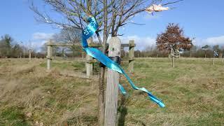 Ribbons of Peace at Coventry Peace Orchard