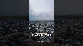 5 НЕОЧЕВИДНЫХ ФАКТОВ ОБ АВТО ИЗ ГРУЗИИ – ВЫ БУДЕТЕ В ШОКЕ️Инфо в  telegram-канале, ссылка в шапке