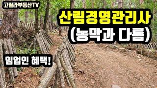 산림경영관리사(농막과 달라요), 임업인/임업후계자 관심있게 보세요 【고릴라부동산TV】