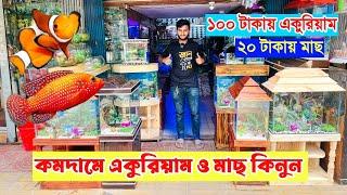 Aquarium price in Bangladesh 2024  aquarium fish price in Bangladesh/low price aquarium