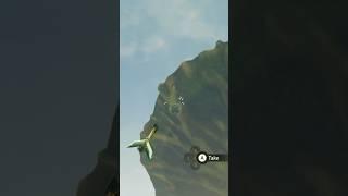 there’s a #shoot the lil target balloon   #korok seed by the hinox in the #botw