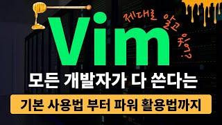 Vim 제대로 가르쳐 줌  (개발자라면 한번쯤 꼭 쓴다는 Vim)