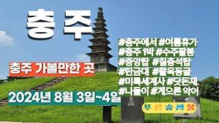 충주나들이 #충주 #충주에서  #여름휴가  #수주팔봉 #미륵세계사 #닷돈재 #게으른악어  #중앙탑  #칠층석탑  #탄금대 #탄금대공원  #고구려비전시관  #고구려비   #1박2일