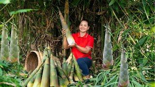 Harvest Bamboo Shoots to Sell - Make Bamboo Shoot Chili and Enjoy a Bamboo Shoot Meal