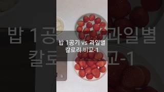 300kcal, 밥한공기 vs 과일별 칼로리 비교-1