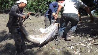 10 Peces monstruo capturados en Rios de Colombia.