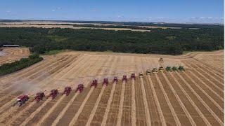 Canadian Foodgrains Bank Winter Wheat Harvest 2016- 18 Combines -Killarney, Manitoba