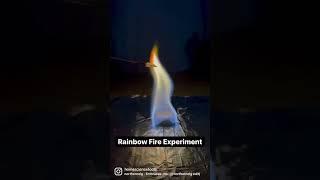 Science Buddies Rainbow Fire Chemistry Experiment from Home Science Tools