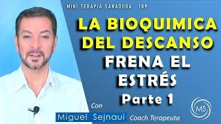 LA BIOQUIMICA DEL DESCANSO FRENA EL ESTRÉS  PARTE 1   Terapia Coaching Sanadora 189