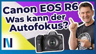 Canon EOS R6: Hier erfährst Du alles über die Autofokus-Funktionen!