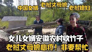 【阿樂和老撾媳婦阿欣】帶著寮國媳婦安徽農村收竹子，丈母娘非要跟來幫忙：中國女婿攔都攔不住！