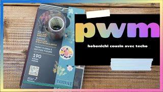 Hobonichi Cousin A5 PWM using happy planner stickers | Super chatty today