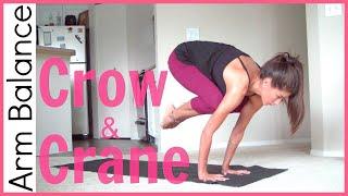 How to Crow Pose & Crane Pose | Arm Balance