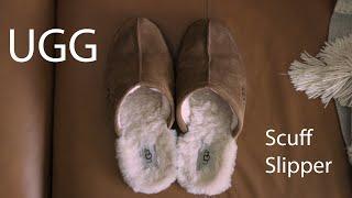 UGG Scuff Slipper - My most used shoe? Worth it?