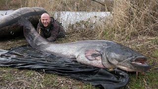 Welsmonster aus dem Baggersee