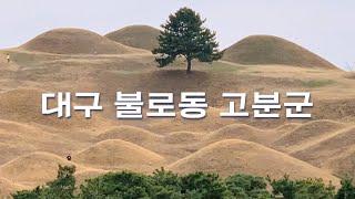 대구 한복판에 고대 국가의 흔적이 / 불로동 고분군 [대구 01]