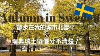 秋天散步在我的城市北雪平＆瑞典瑞士傻傻分不清楚嗎？｜Strolling in my city Norrköping＆Always confused Sweden with Switzerland?