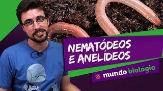  Zoologia (2/6): Nematódeos e Anelídeos - Biologia - ENEM