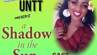 A Shadow in the Sun - Pearls Publishers