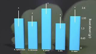 Characterizing Early Growth of Wild Radish and Surrogate Species for Physical Weed Control Research