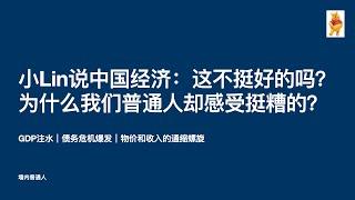 小Lin说2024年中国经济：这不挺好的吗？为什么我们普通人却感受挺糟的？｜GDP注水｜债务危机爆发｜物价和收入的通缩螺旋