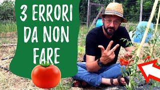 Coltivare POMODORI: 3 errori da non fare