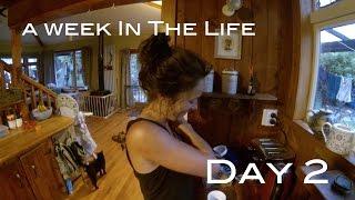 bushman living in new zealand with Josh James - a day in the life VLog