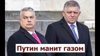 Бунт в Европе: европейские страны (догадайтесь какие) начали выбирать Путина, а не Трампа