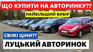 ЛУЦЬКИЙ АВТОРИНОК / СВІЖІ ПРОПОЗИЦІЇ // 20.10.2024р #автобазар  #автопідбірлуцьк #автопідбірлуцьк