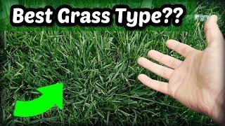 Is Tall Fescue The Best Cool Season Grass Type?