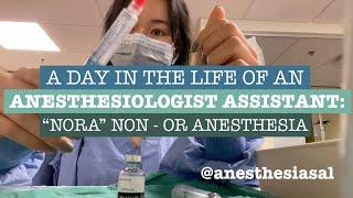 A day in the life of an Anesthesiologist Assistant: Non OR Anesthesia "NORA"