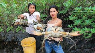 Two Sisters Catch A Lot Of Huge Mud Crabs at Swamp after Water Low Tide