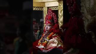Our goddess is sleepy ️ | indra jatra 2080  kumari nepal | #wanderlust #nepal #kumari #god #shorts