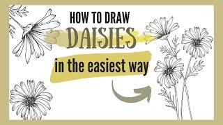 HOW TO DRAW DAISIES  - in the easiest way