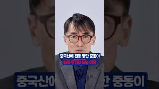 "완전히 한국에 미쳤다" 중동 국가들이 유독 한국에 열광하는 이유 #성일광