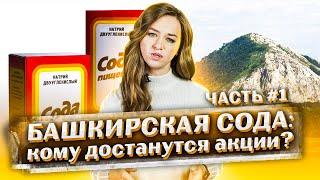 Башкирская Содовая компания - борьба за акции из-за Куштау