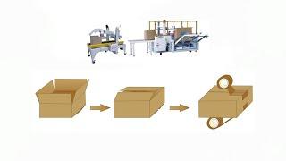 Automatic carton box erector sealer | carton box erecting sealing machine | cases packaging line