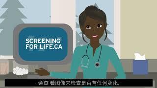 乳腺癌 - 如何进行筛查？ Breast cancer - how do I get screened? (2/2)